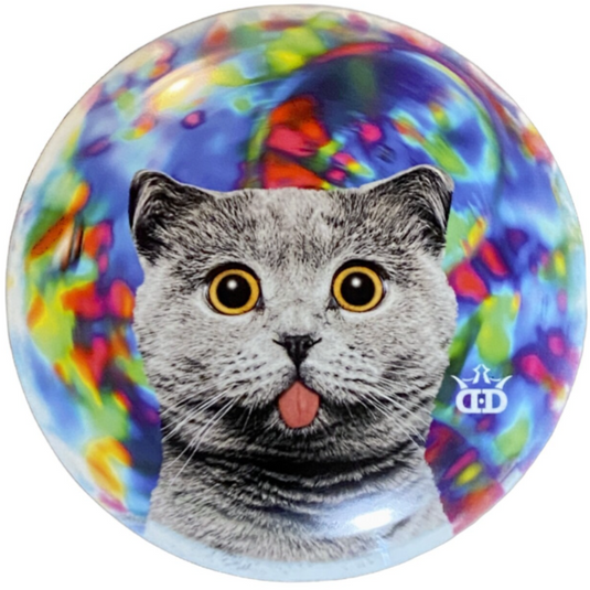 Ours - Sai Ananda 2023 DyeMax - 8/6/-0,5/2,5