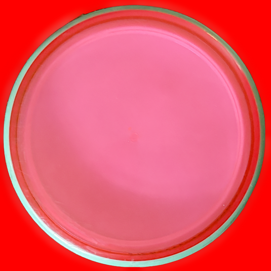 Paradox - Proton - 5/4/-4/0 [Consign