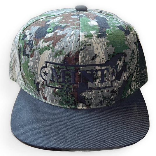 Mint Discs Snapback