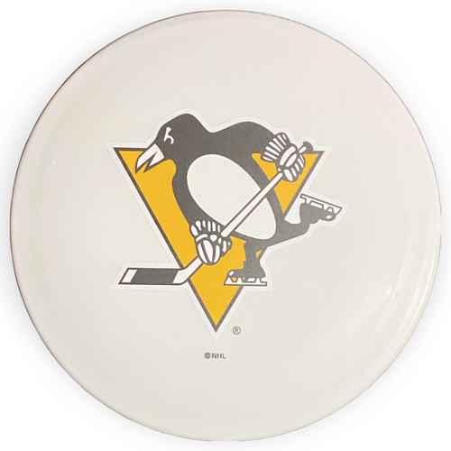 Ballon en plastique NHL FX-4 200 - Pittsburgh 9/5/-2/2