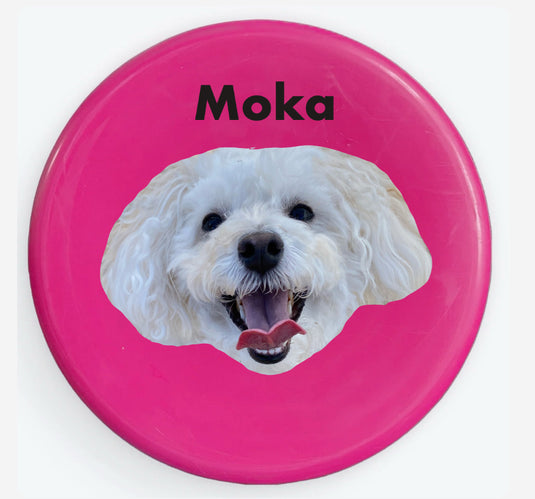 Mint Discs Snapback (Flat Bill) Hat