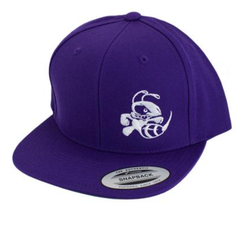 Load image into Gallery viewer, Buzzz Snapback Hat
