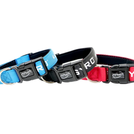 MVP Bar Logo Dog Collar